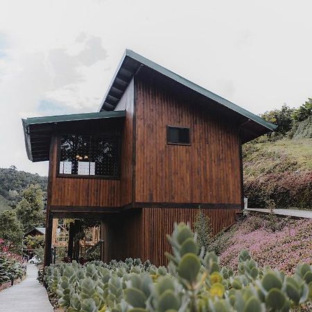 Lauraceas Lodge San Gerardo de Dota Dış mekan fotoğraf