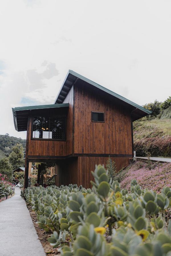 Lauraceas Lodge San Gerardo de Dota Dış mekan fotoğraf