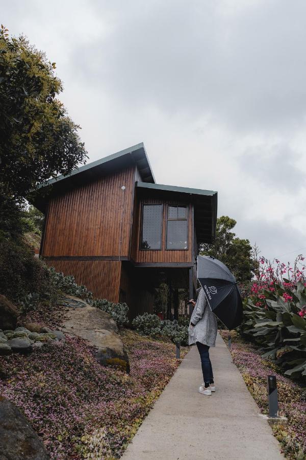 Lauraceas Lodge San Gerardo de Dota Dış mekan fotoğraf