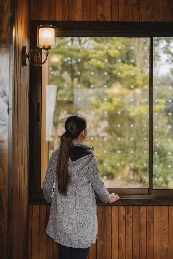 Lauraceas Lodge San Gerardo de Dota Dış mekan fotoğraf